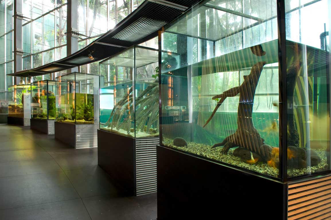 aquaris vidre